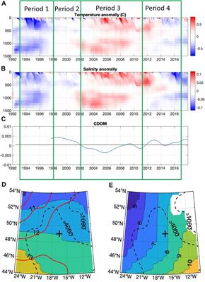 Deep ocean particle flux in the Northeast Atlantic over the past 30 years: carbon sequestration is controlled by ecosystem structure in the upper ocean